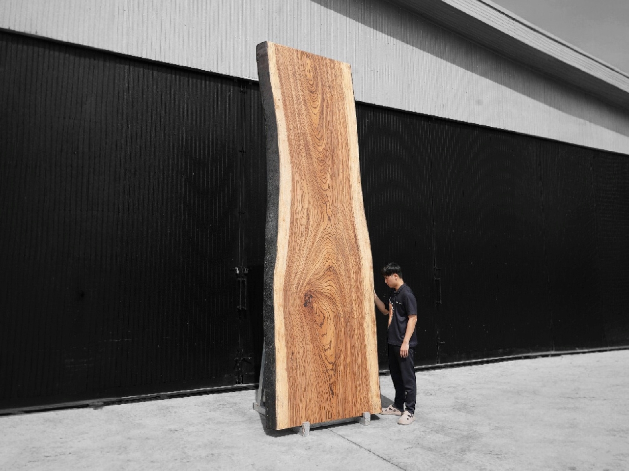 Zebra Wood (Z.614)