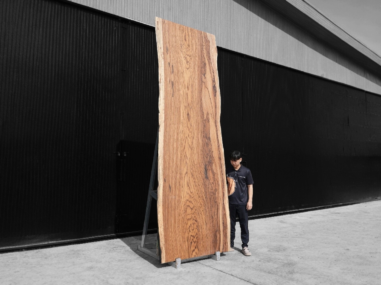 Zebra Wood (Z.601)