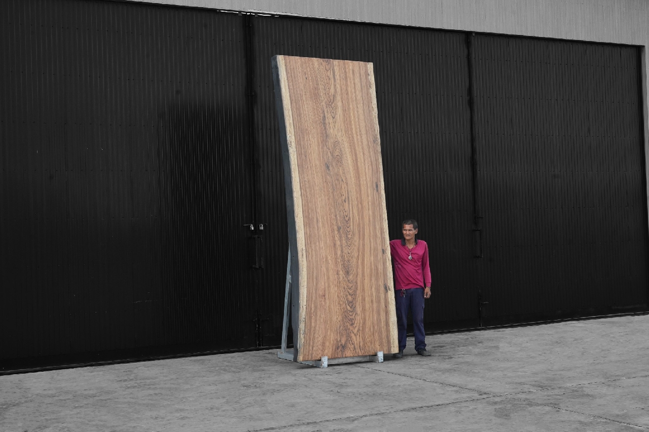 Zebra Wood (Z.603)