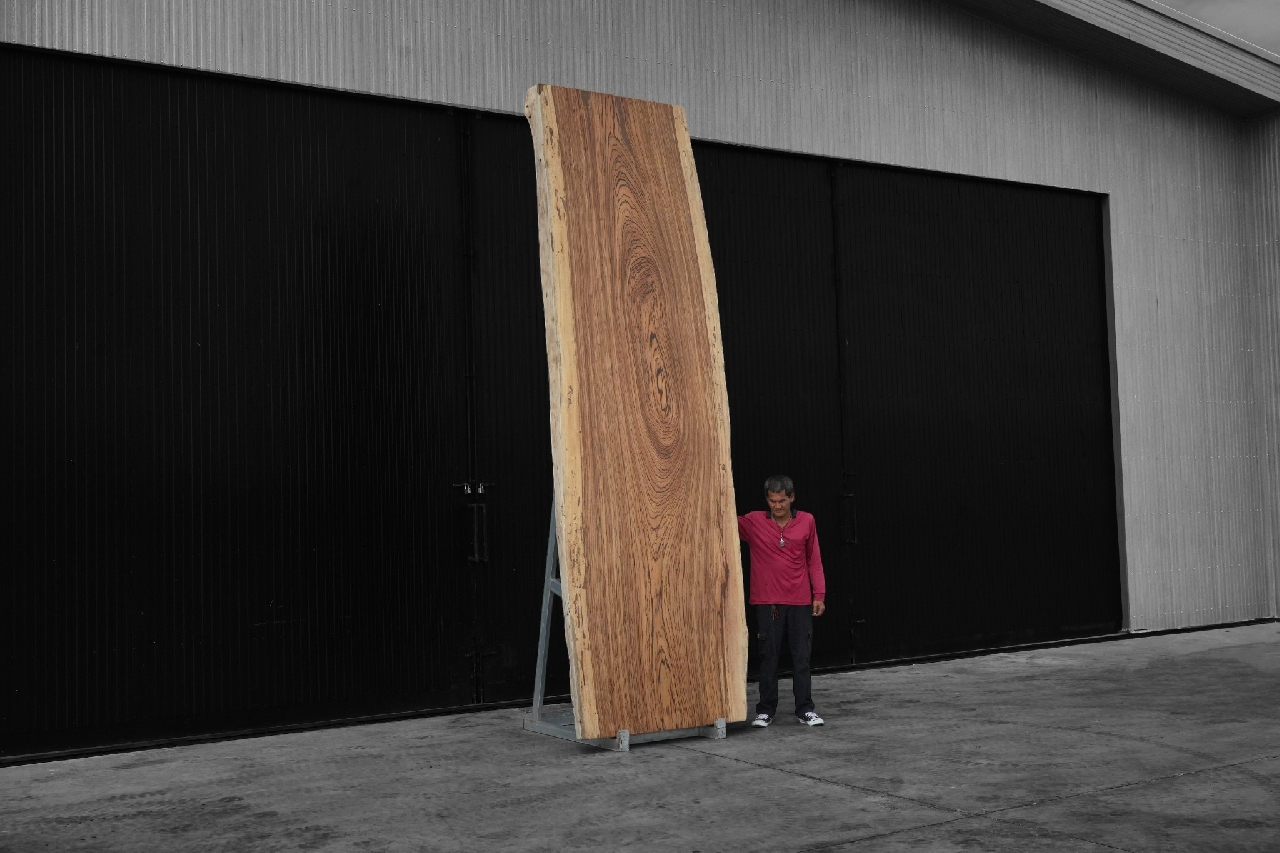 ไม้ซีบร้า (Zebra Wood) (Z.604)