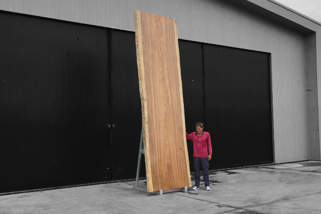 ไม้ซีบร้า (Zebra Wood) (Z.606)