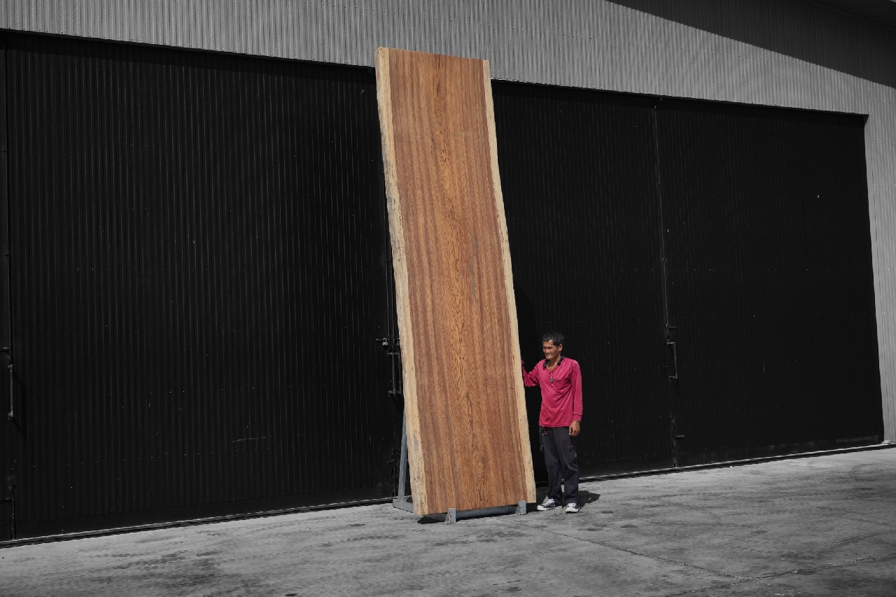 ไม้ซีบร้า (Zebra Wood) (Z.611)