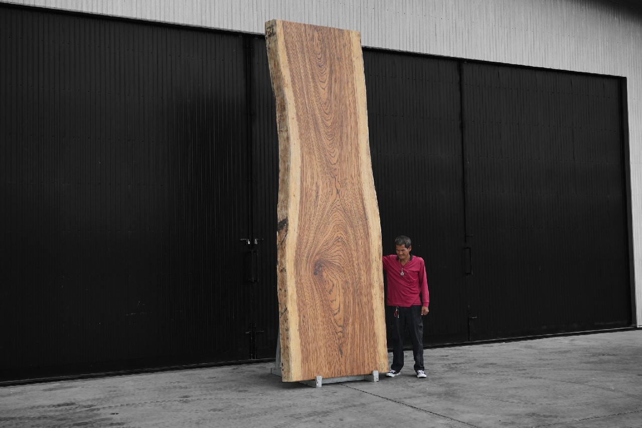 ไม้ซีบร้า (Zebra Wood) (Z.614)