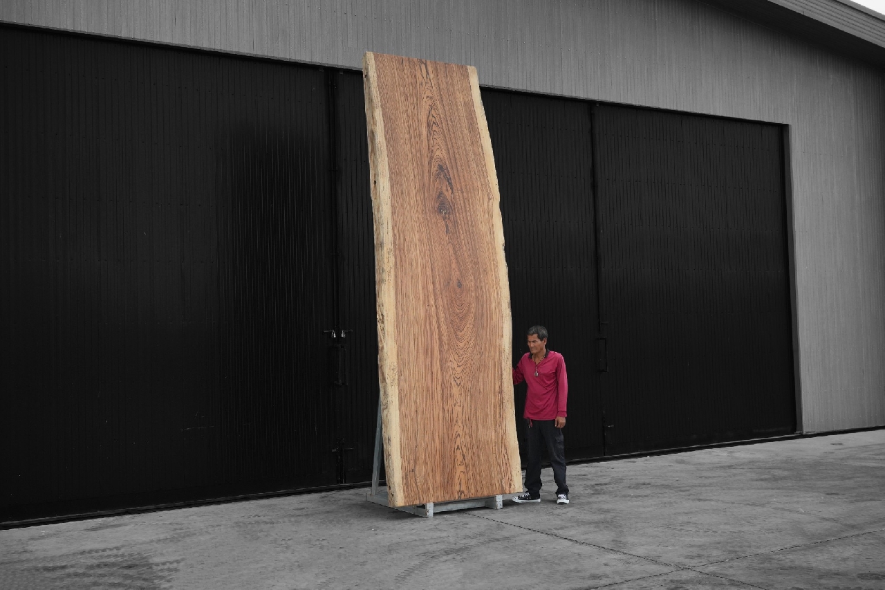 ไม้ซีบร้า (Zebra Wood) (Z.616)