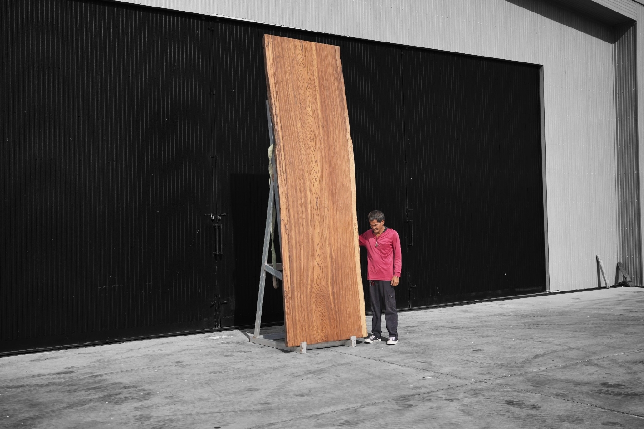 ไม้ซีบร้า (Zebra Wood) (Z.629)