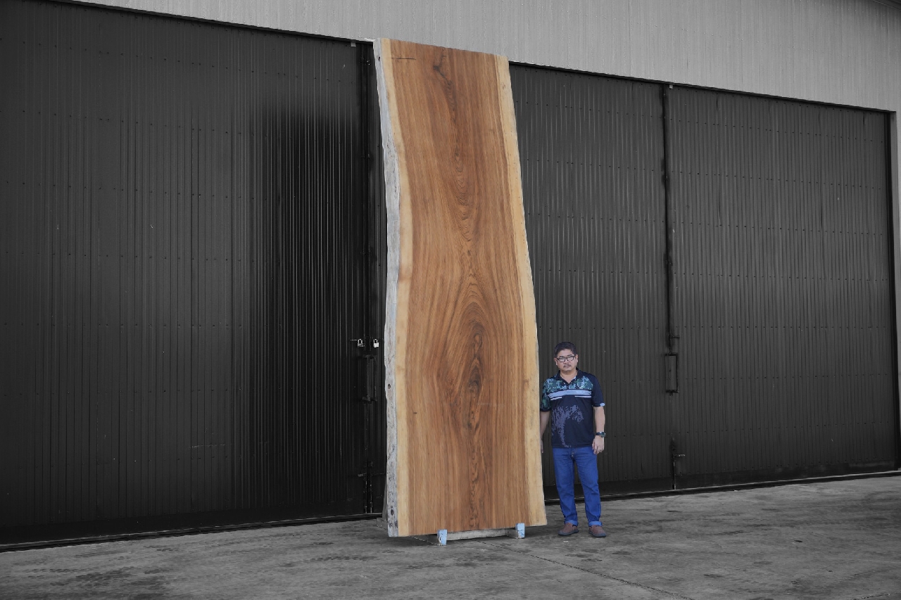 ไม้ซีบร้า (Zebra Wood) (Z.636)