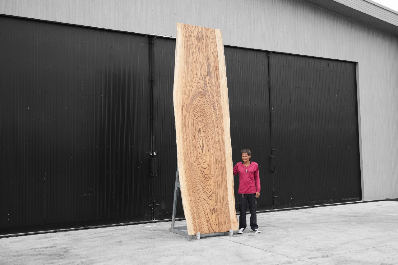 ไม้ซีบร้า (Zebra Wood) (Z.638)