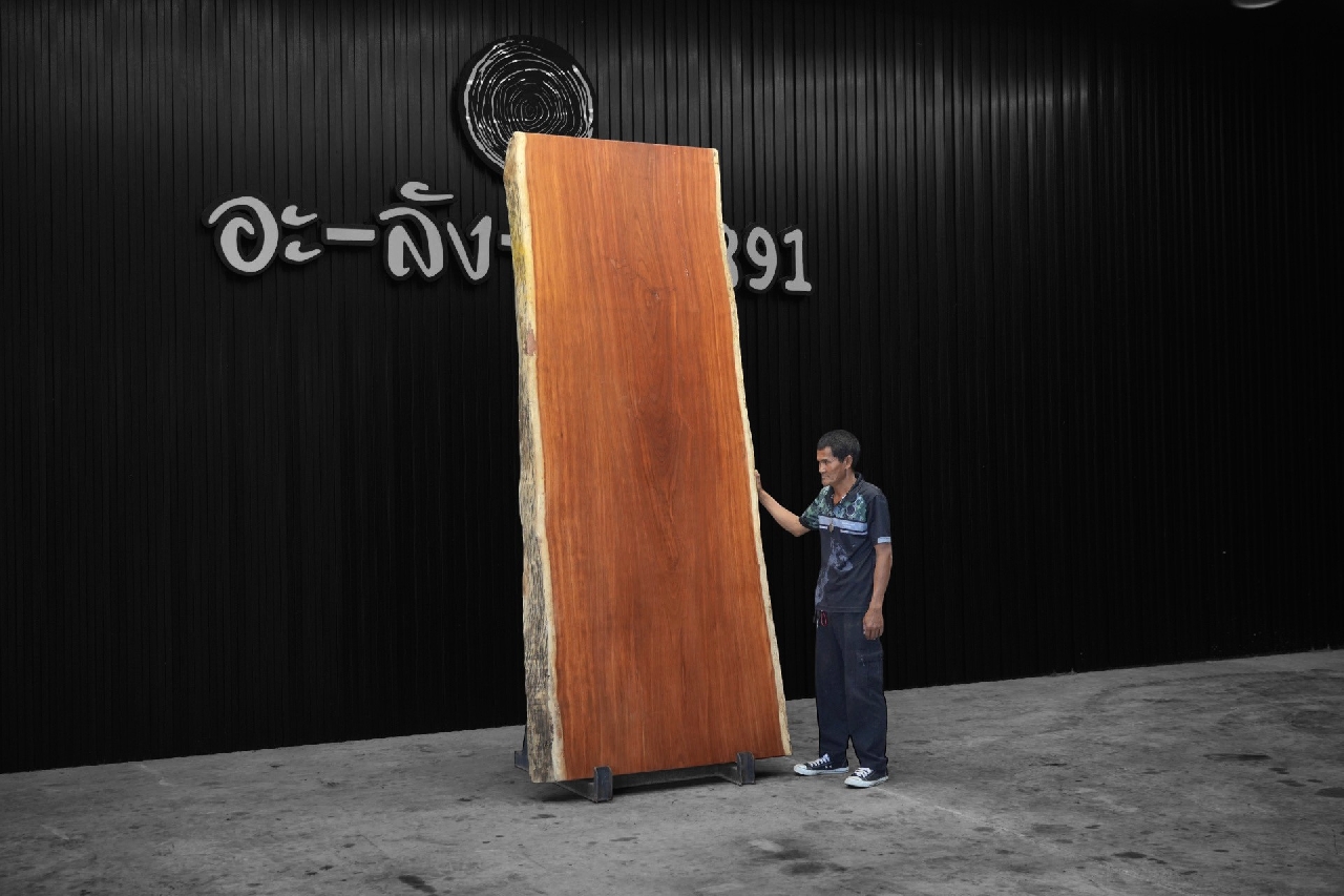 ไม้มะค่า (Makha Wood) (MA.8024)