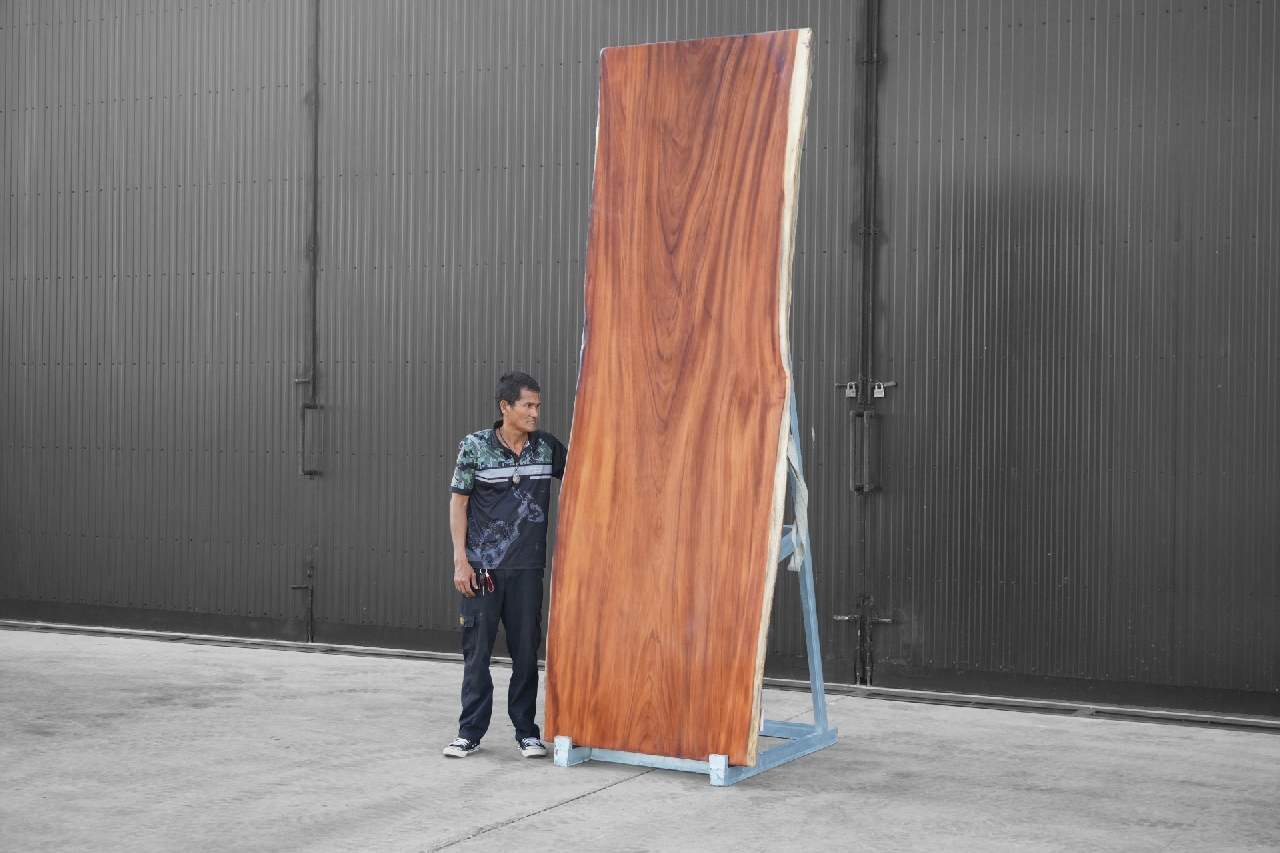 ไม้มะค่า (Makha Wood) (MA.8097)