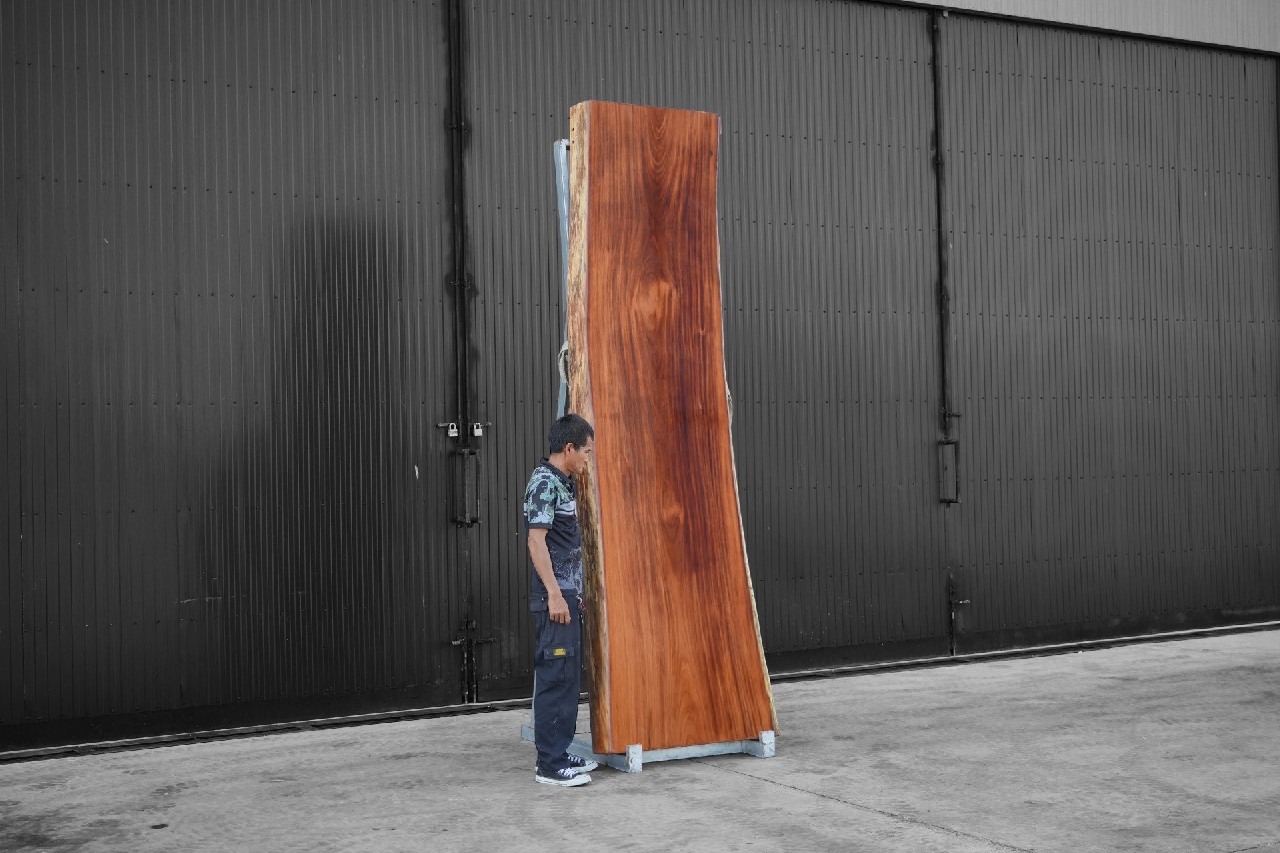 ไม้มะค่า (Makha Wood) (MA.8096)