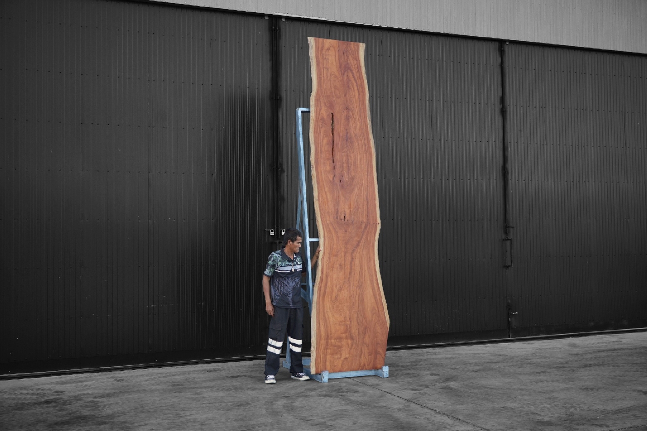 ไม้มะค่า (Makha Wood) (MA.8099)