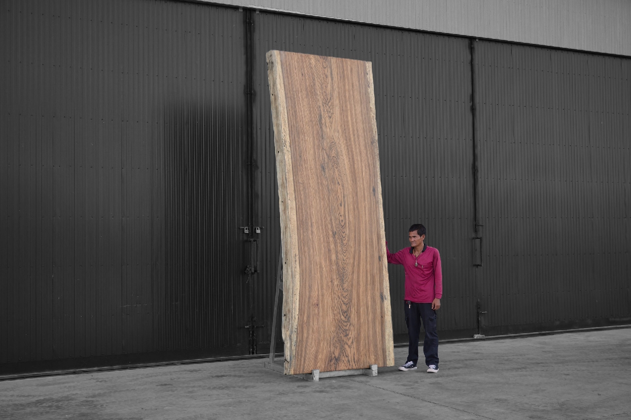 ไม้ซีบร้า (Zebra Wood) (Z.603)