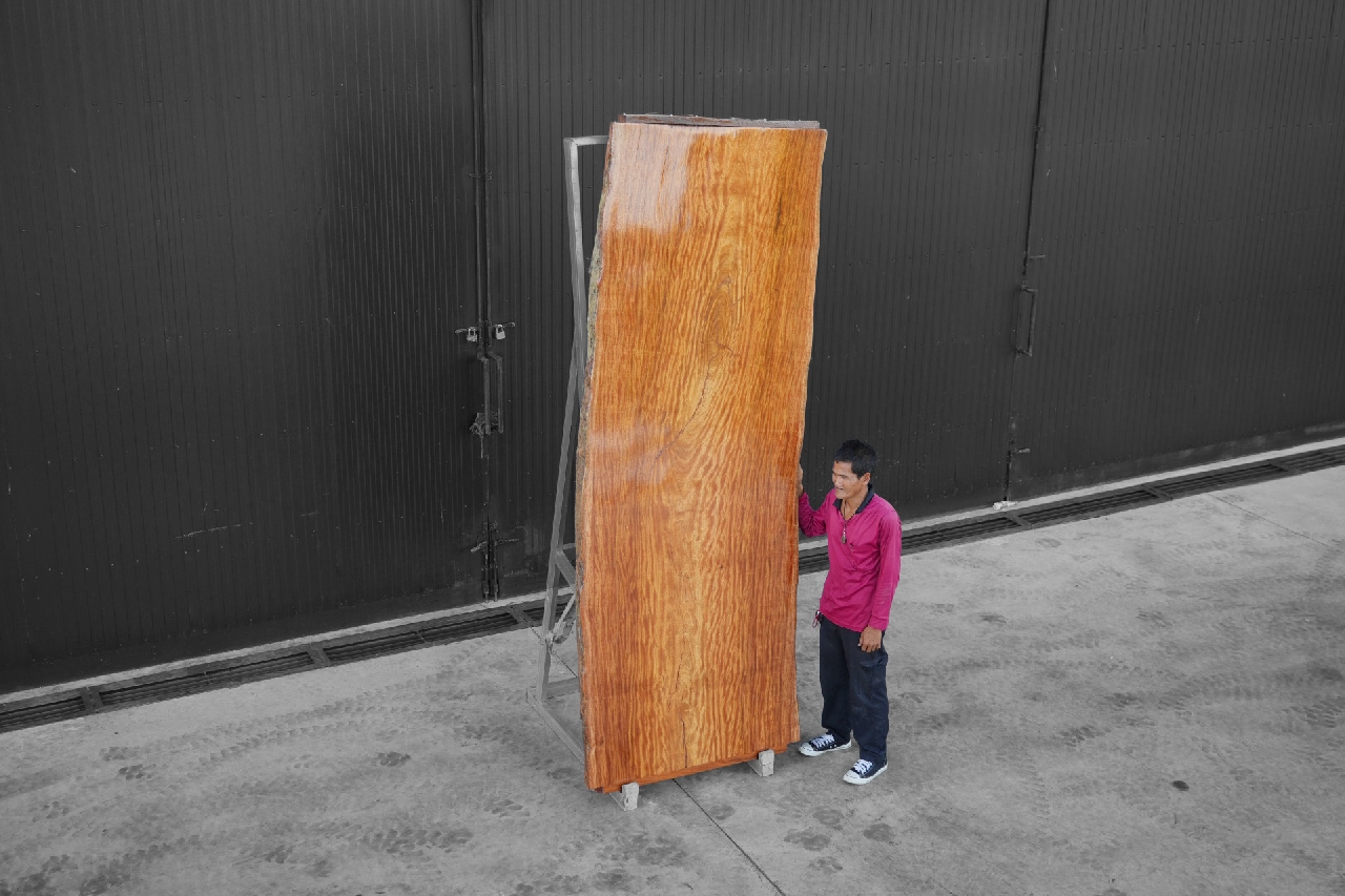 ไม้ทาลี่ (Tali Wood) (TL.2103/2)