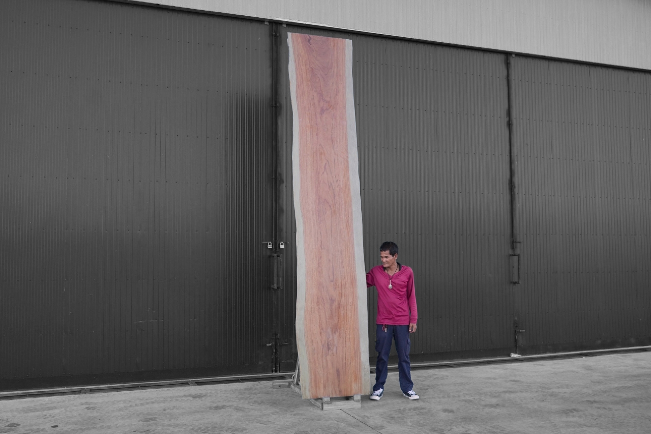 ไม้ซีบร้า (Zebra Wood) (ZR.04)