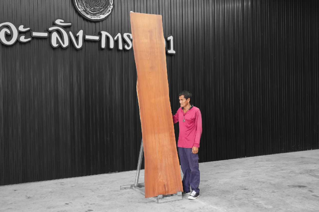 ไม้มะค่า (Makha Wood) (MA.8091)