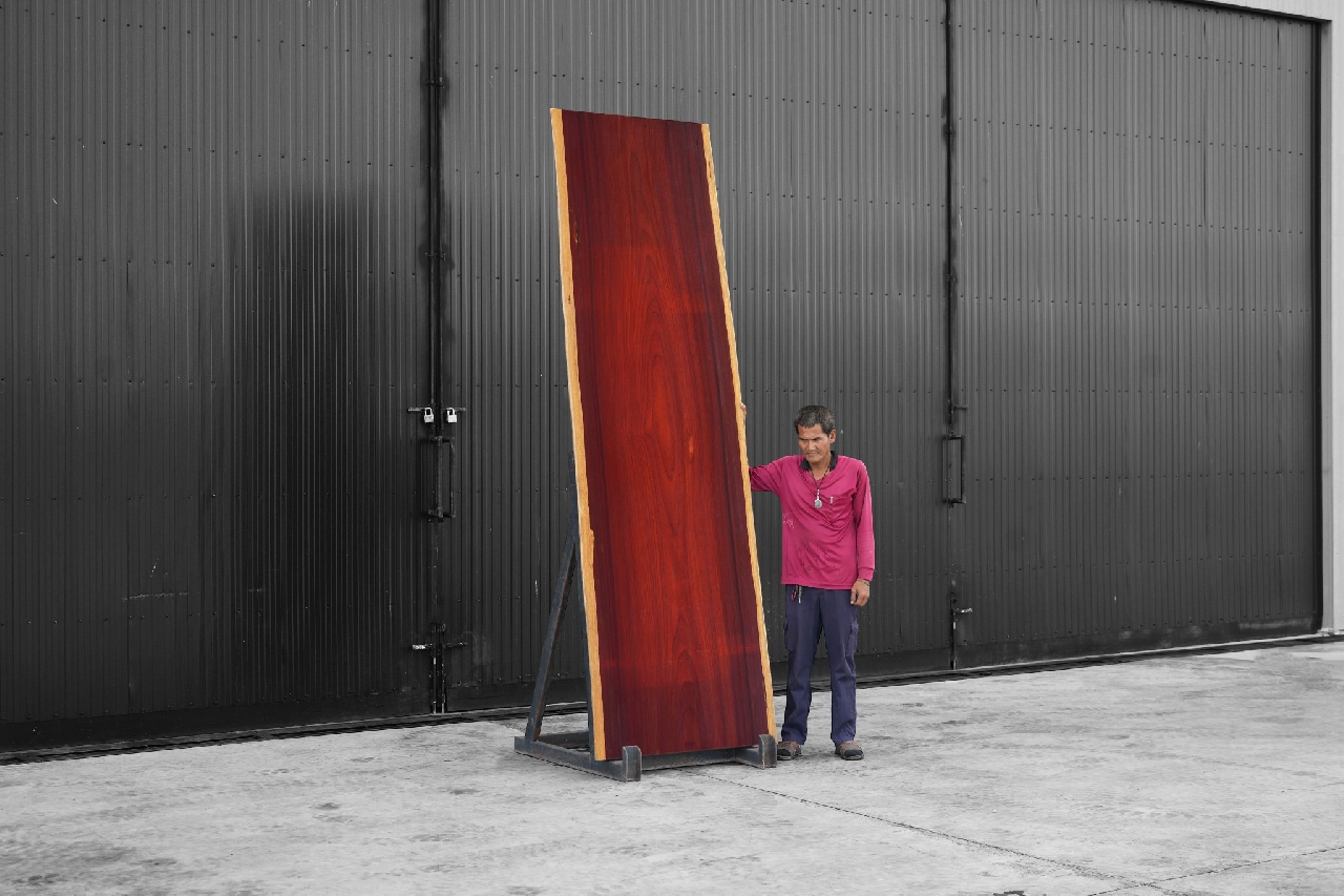 ไม้ประดู่ (Padauk Wood) (P.03/2)