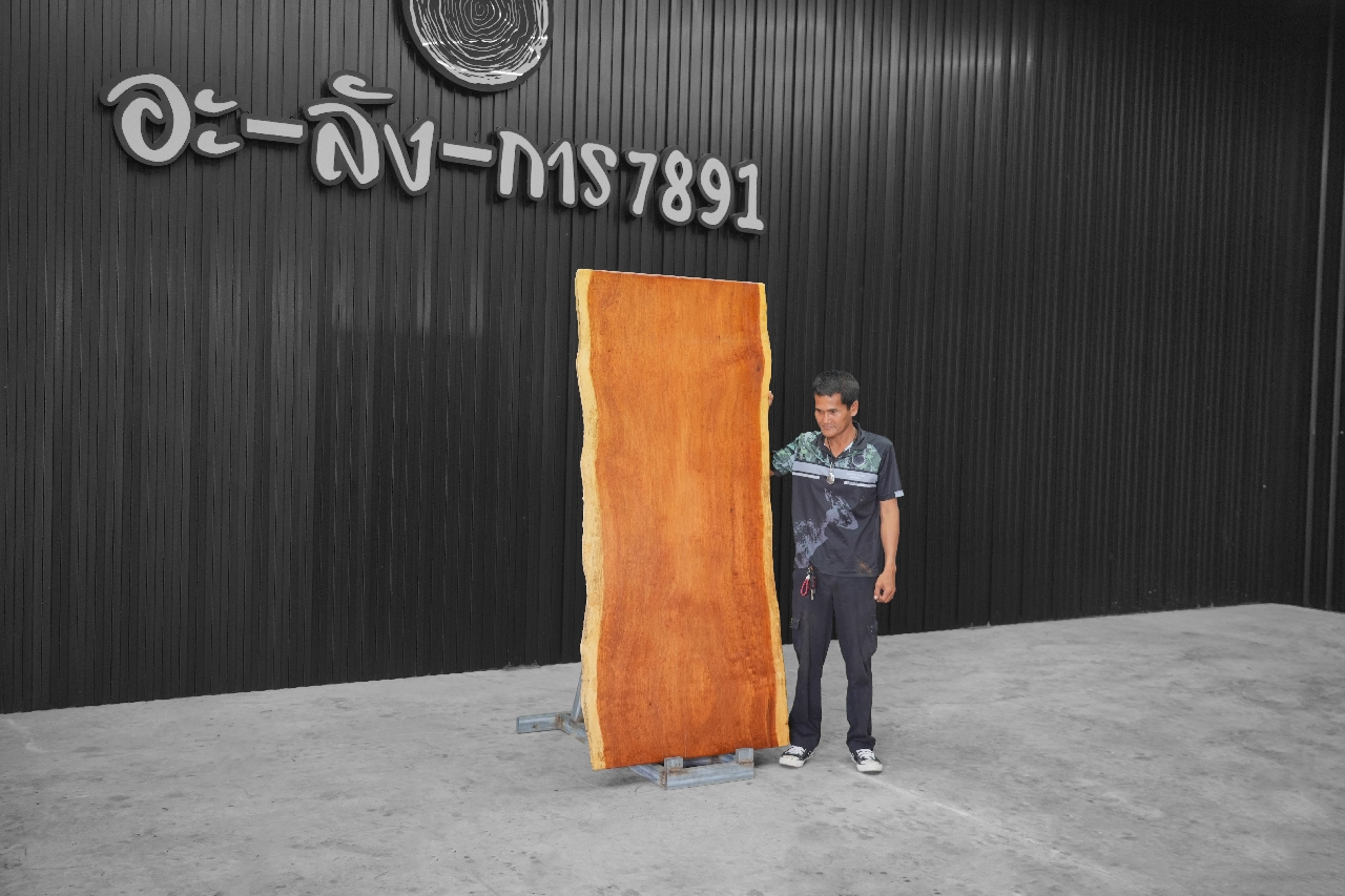 ไม้มะค่า (Makha Wood) (MA.510/1)