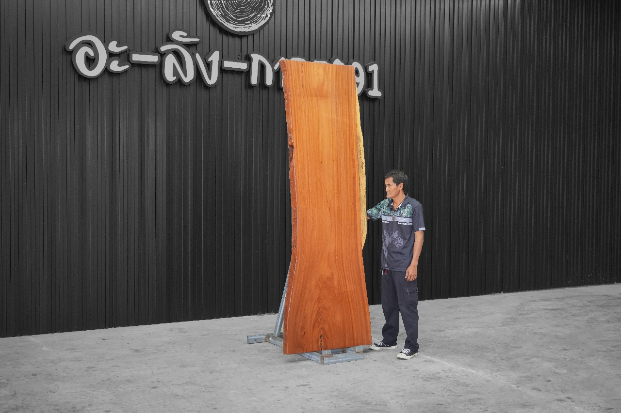 ไม้มะค่า (Makha Wood) (MA.8027)