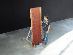 Bubinga Wood (BU.413/3)