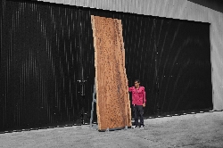 ไม้ซีบร้า (Zebra Wood) (Z.601)