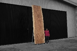 ไม้ซีบร้า (Zebra Wood) (Z.604)