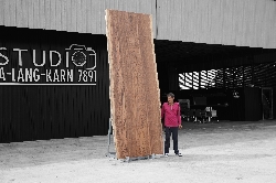 ไม้ซีบร้า (Zebra Wood) (Z.625)