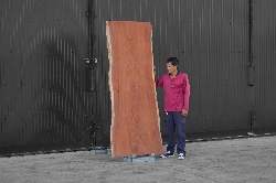 ไม้มะค่า (Makha Wood) (MA.8026)